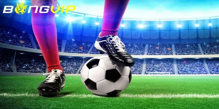 Đánh Giá Nhà Cái Bongvip Điểm Đến Cá Cược Đẳng Cấp Cho Mọi Tay Chơi