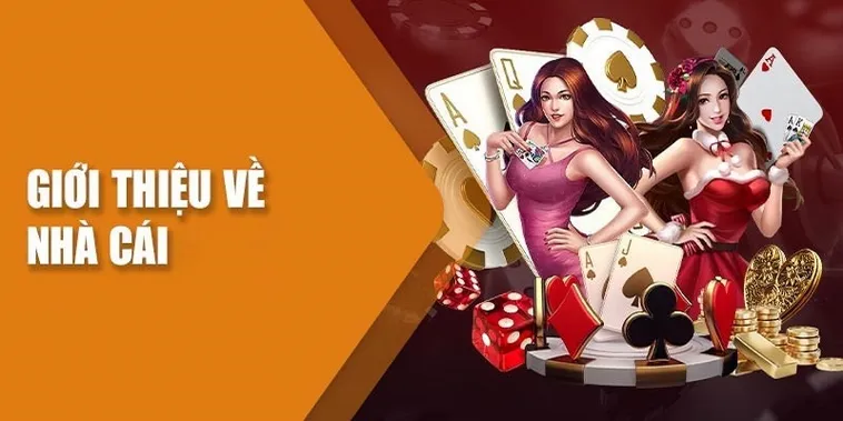 Top Những Nhà Cái Uy Tín Nhất Và Tiêu Chí Lựa Chọn Chuẩn Xác